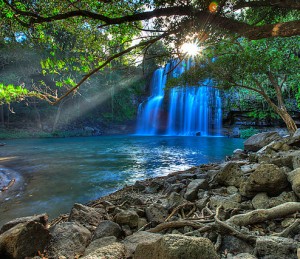 Eden-like waterfall