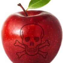 forbidden fruit image