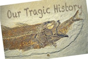 Predation in the fossil record