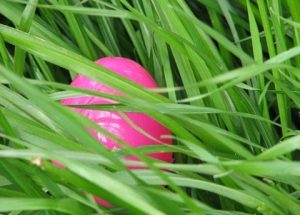 hidden Easter egg