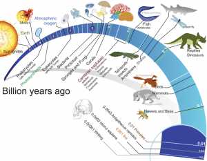 Billions of Years Timeline