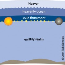 Solid Dome Cosmology